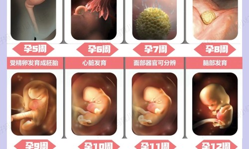 怀孕五个月吃那个牌子的钙片好网 | 怀孕5个月要补钙吗,怀孕5个月吃什么钙片好