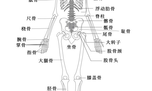 孕妇五个月吃什么钙片补钙效果好-怀孕五个月吃那个牌子的钙片好网 | 怀孕5个月要补钙吗,怀孕5个月吃什么钙片好